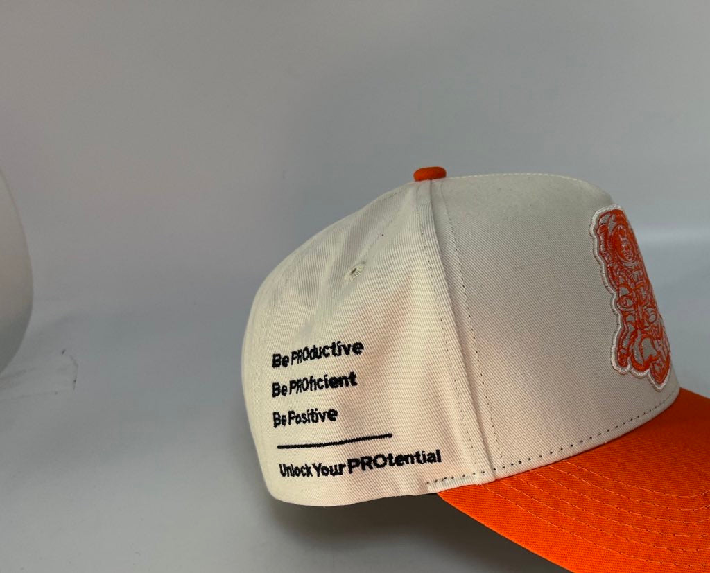 PROtential Baseball Cap “WINNERS WIN”